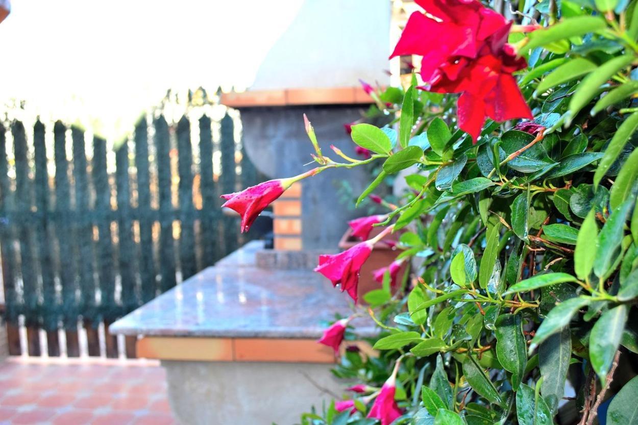 Bungalow En Camping De La Manga מראה חיצוני תמונה